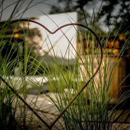 Insolite Miroir Dans La Nature Avec Hottub Et Sauna * Ohey